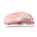 Fresh Young Duck