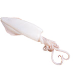 FROZEN WHOLE SQUID
