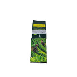 Vinatea Green Tea Leaf