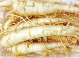Fresh Ginseng