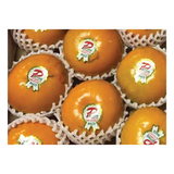 Brazil Persimmon