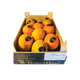 Kaki Persimmon In Box