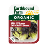 Earthbound Organic Red Butter Lettuce