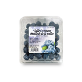 Blueberries