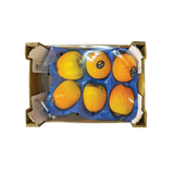 Persimmon/Kaki In Box