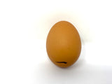 Chicken Baby Egg