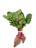 Red Turnips with Leaves