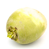 Indian Turnip
