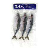 AA-1 INDIAN  MACKEREL