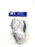 AA-1 Frozen Moonfish