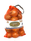 Regular Onion (10LB) L