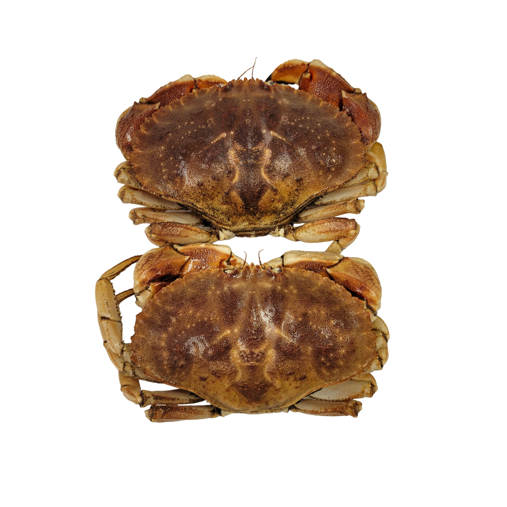 Live Rock Crab Al Premium Food Mart Mississauga