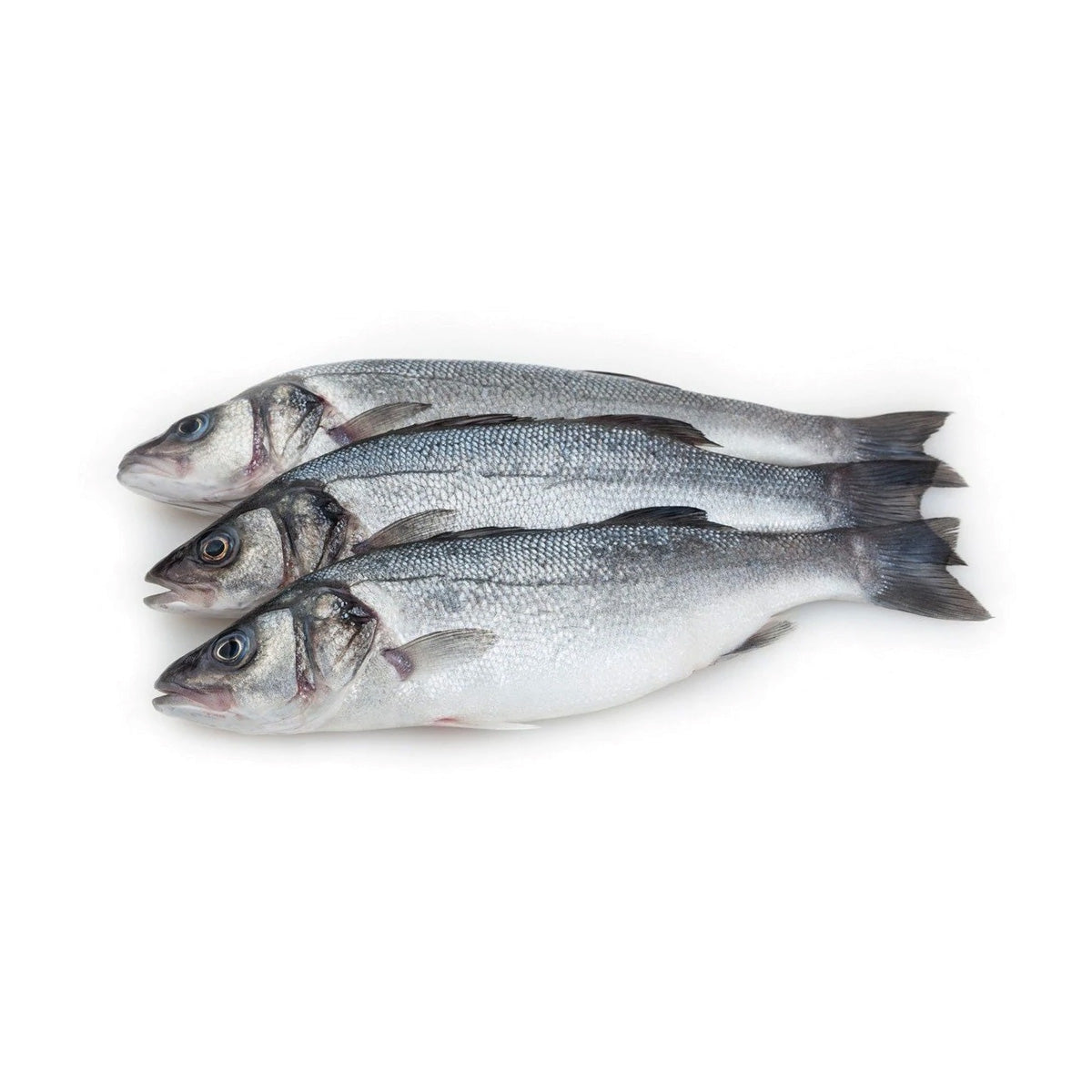 Sea Bass – Al Premium Food Mart - Mississauga