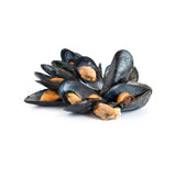 fresh mussel