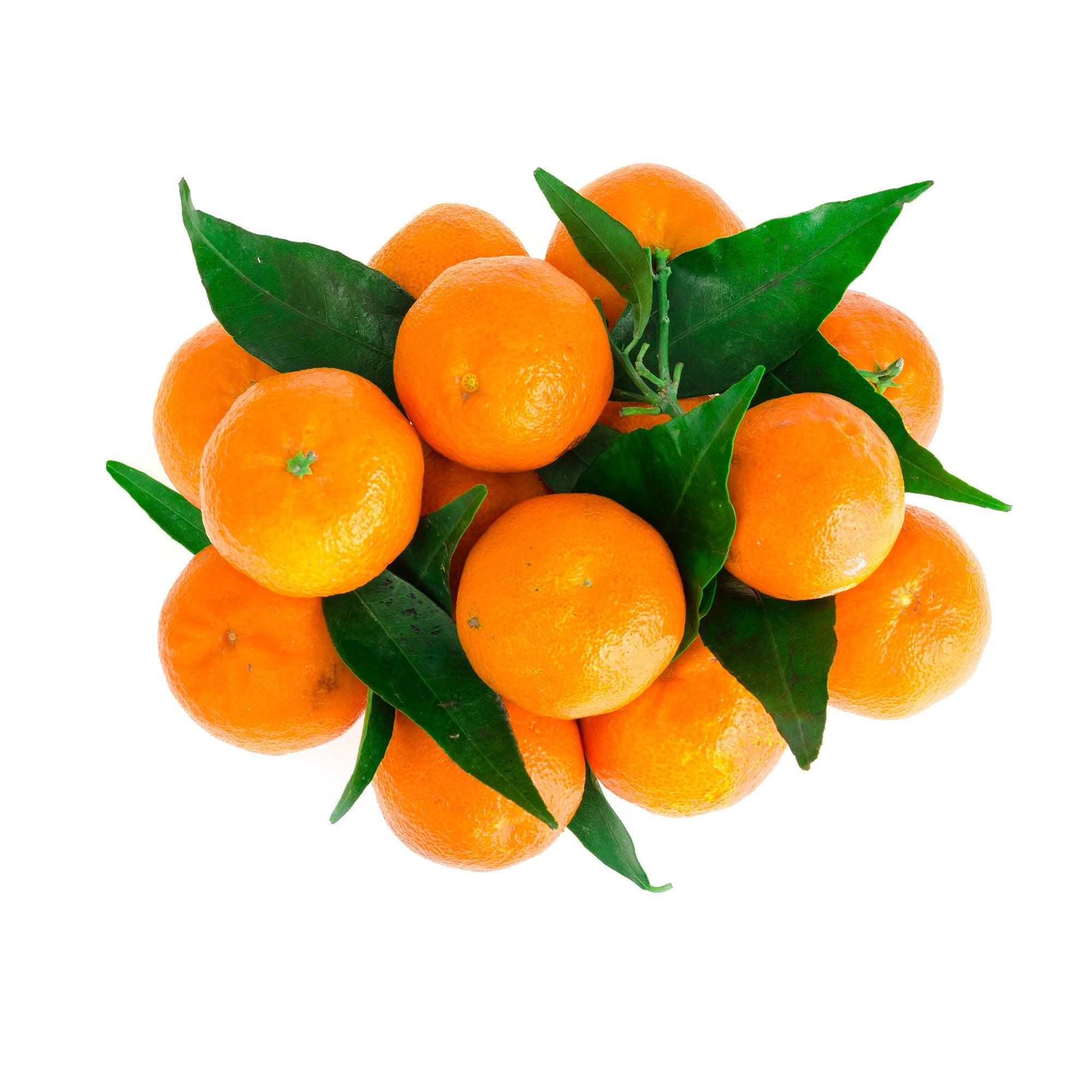 Sweet Tangerine (With Leaves)
