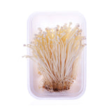 Enoki Organic Mushroom (150 G)