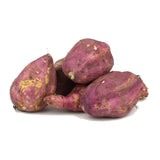 Honduras Sweet Potato