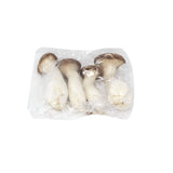 King Oyster Mushroom